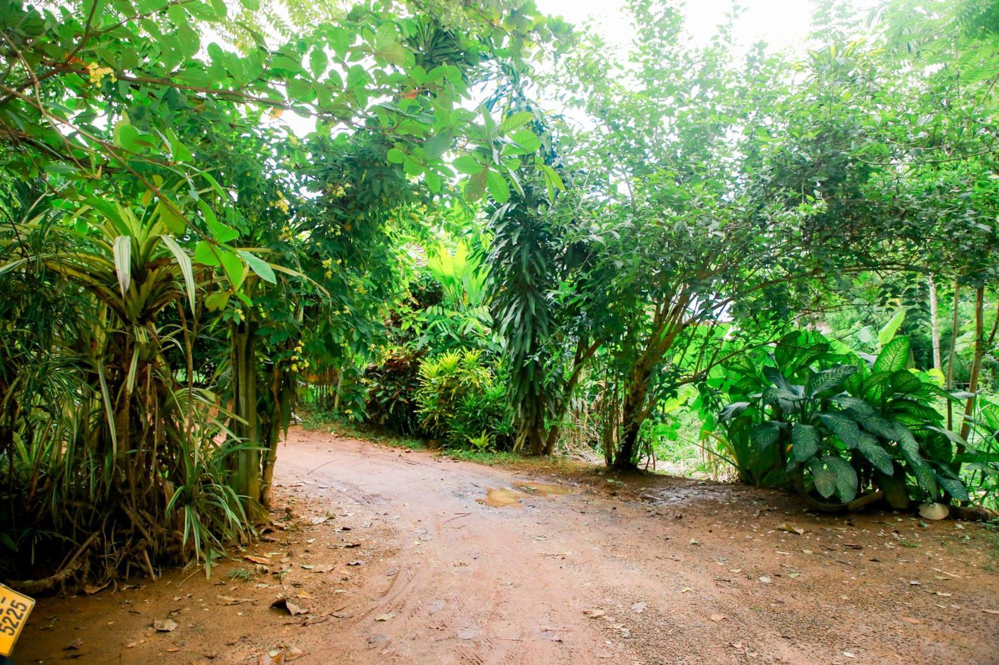 Leo Homestay Диквелла Экстерьер фото